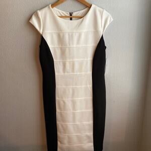 Studio One NY Black and White Dress 10